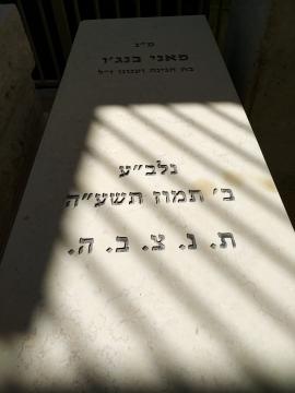 תמונת מצבה