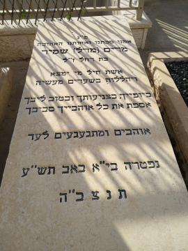 תמונת מצבה