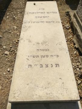 תמונת מצבה