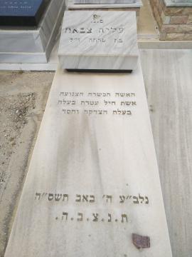 תמונת מצבה