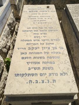 תמונת מצבה