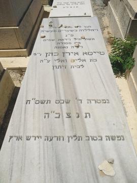 תמונת מצבה
