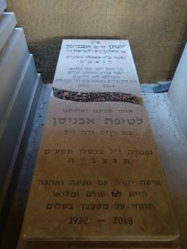 תמונת מצבה