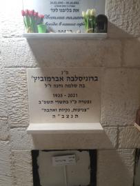 תמונת מצבה