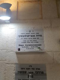 תמונת מצבה