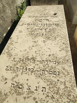 תמונת מצבה