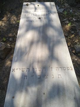 תמונת מצבה