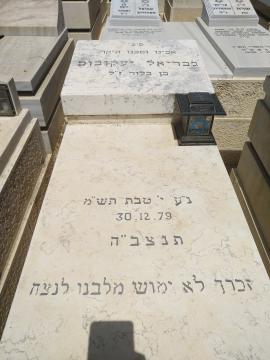 תמונת מצבה