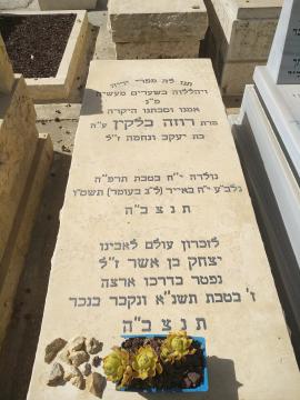 תמונת מצבה