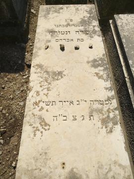 תמונת מצבה