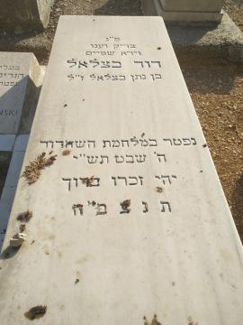 תמונת מצבה
