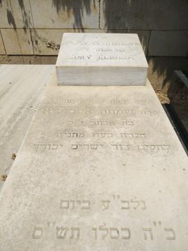 תמונת מצבה