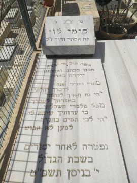 תמונת מצבה