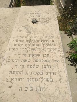 תמונת מצבה