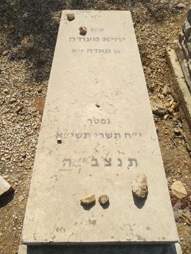 תמונת מצבה