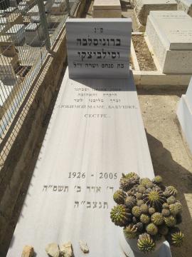 תמונת מצבה