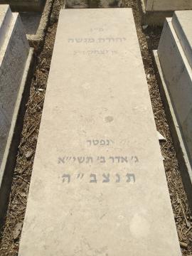 תמונת מצבה