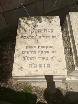 תמונת מצבה