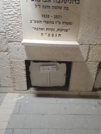 תמונת מצבה