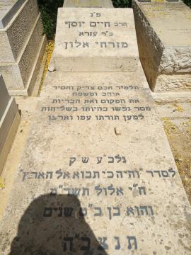 תמונת מצבה