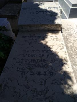 תמונת מצבה
