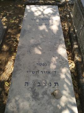תמונת מצבה