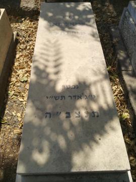 תמונת מצבה