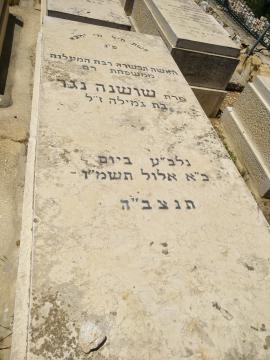 תמונת מצבה