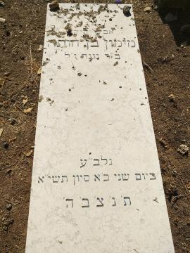 תמונת מצבה