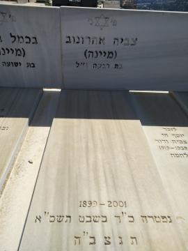 תמונת מצבה