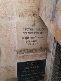 תמונת מצבה