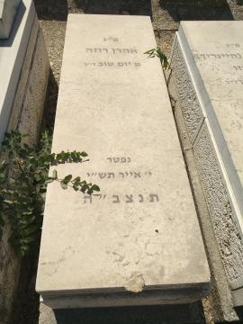 תמונת מצבה