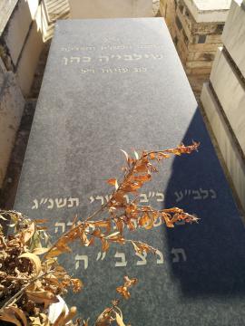 תמונת מצבה