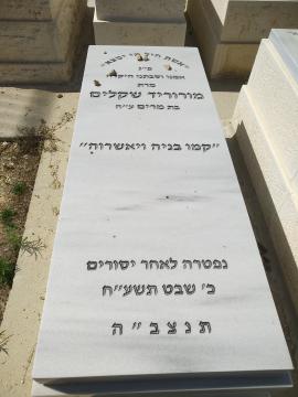 תמונת מצבה