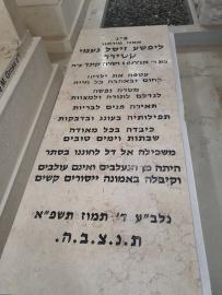 תמונת מצבה