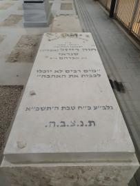 תמונת מצבה