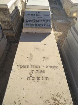 תמונת מצבה