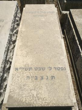 תמונת מצבה