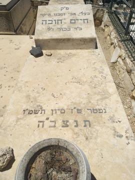 תמונת מצבה