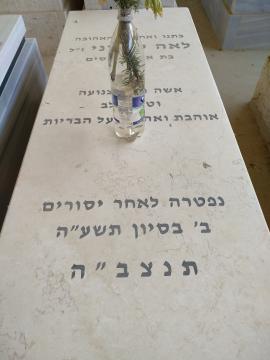 תמונת מצבה