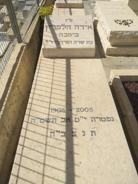 תמונת מצבה