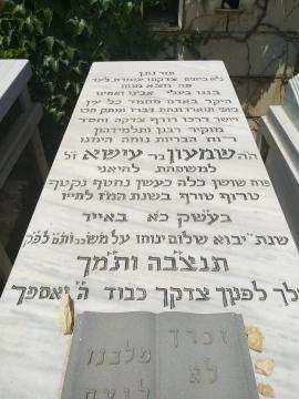 תמונת מצבה