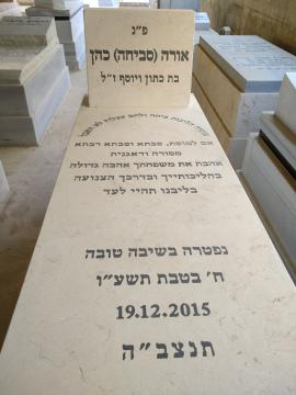 תמונת מצבה
