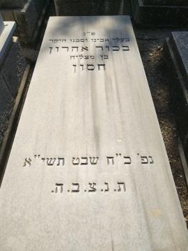 תמונת מצבה