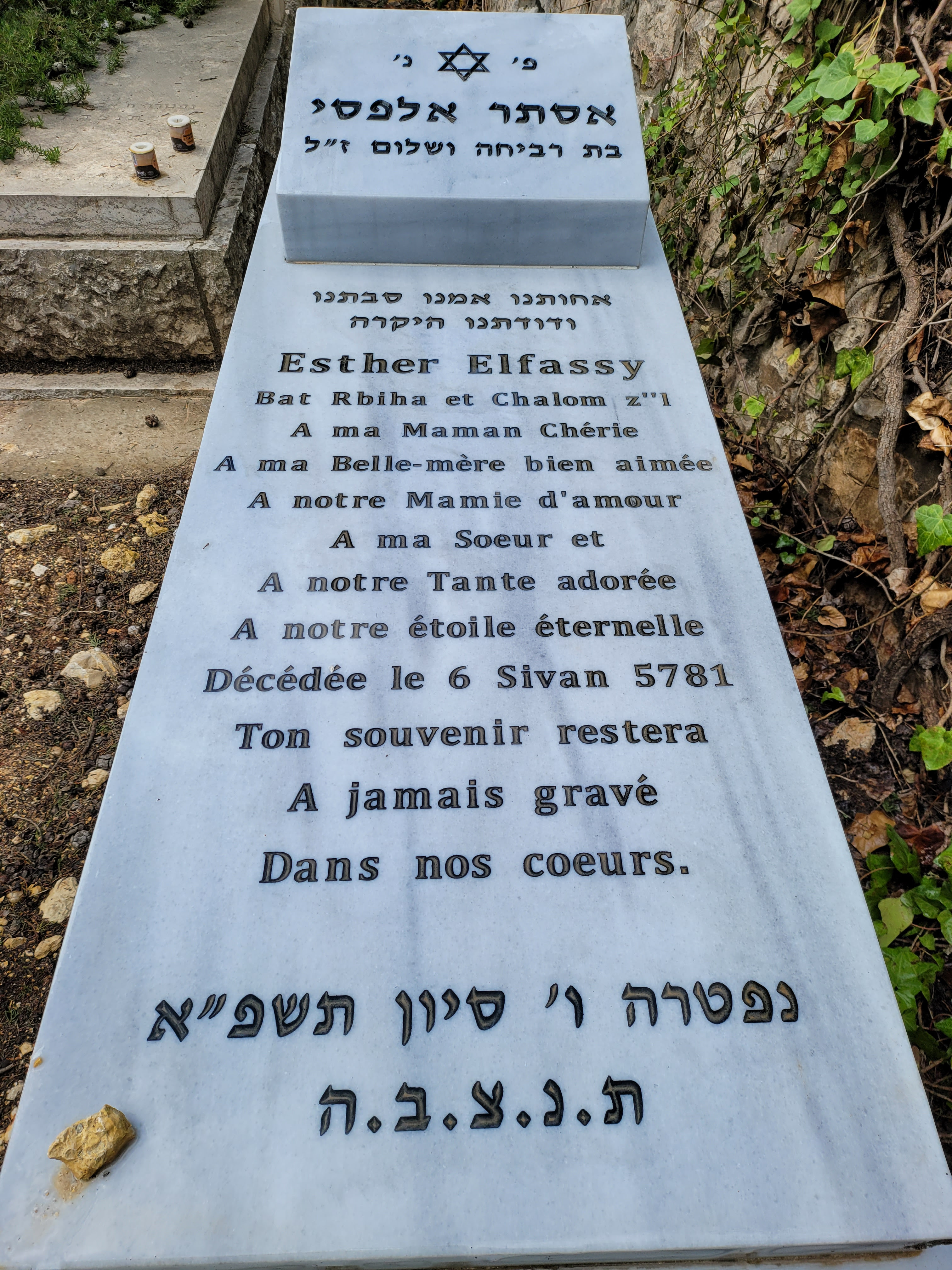 תמונת מצבה