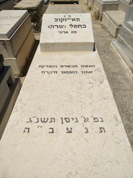 תמונת מצבה