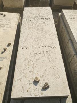 תמונת מצבה