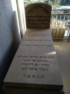 תמונת מצבה
