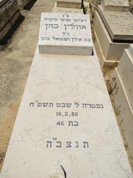 תמונת מצבה