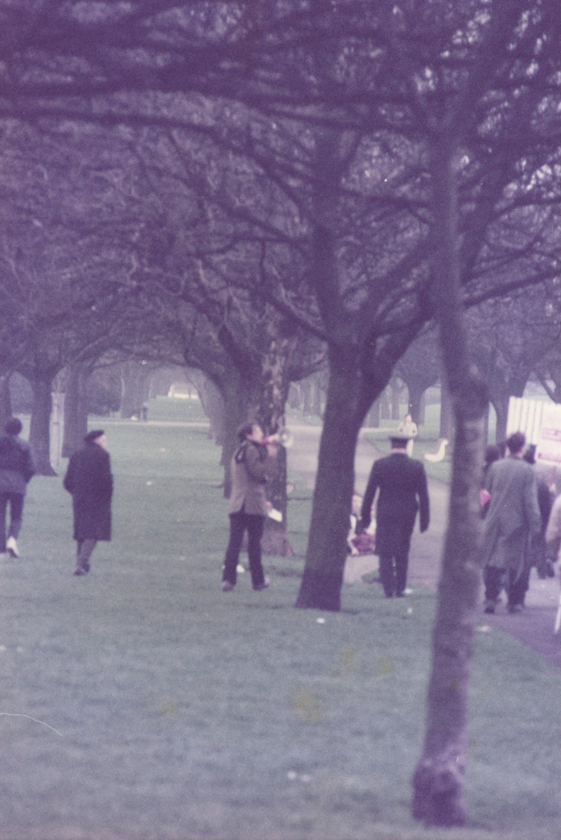 Fairview Protest Dublin 1983 Cathal Kerrigan Speaking Into Megaphone In Park Photo